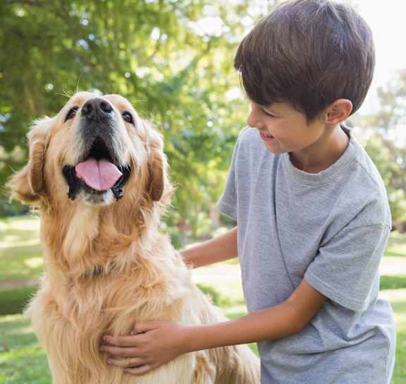 a boy petting a dog in the park