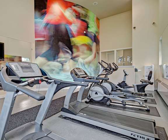 A gym with cardio machines and a colorful wall in the background at Alpine Apartments. 