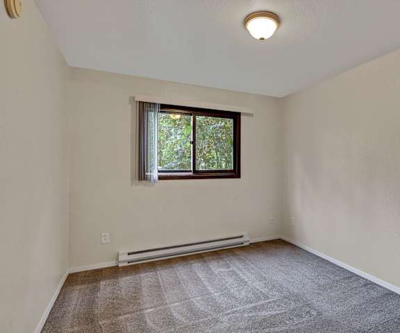 An empty bedroom with carpet and a window