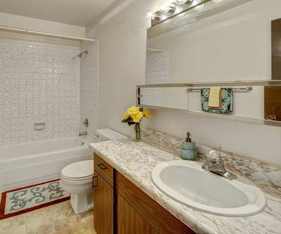 A bathroom with a sink and a toilet and a bath tub at Arctic Sun Apartments. 