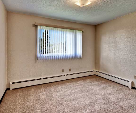 The living room of an empty home with a window and carpet at Bay Arms Apartment Homes.