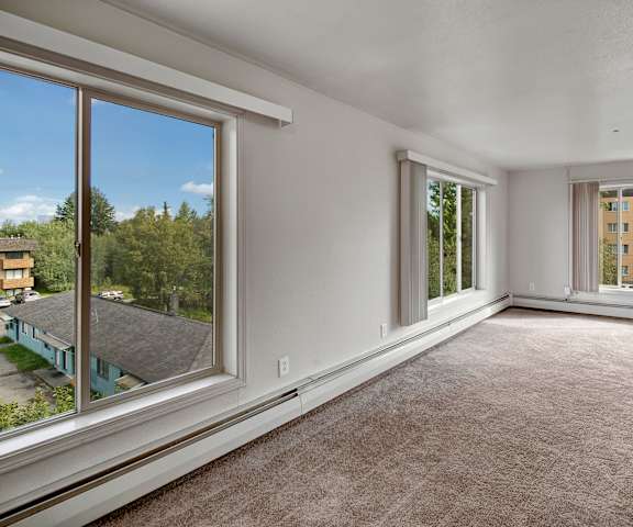 An empty living room with windows and carpeting at Castle Apartments. 