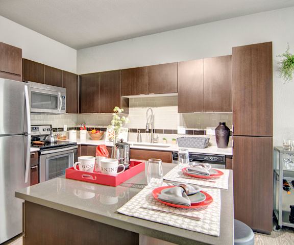 A large kitchen with stainless steel appliances, spacious marble countertops, and large wooden cabinets at Proxy 333 Apartment Homes. 