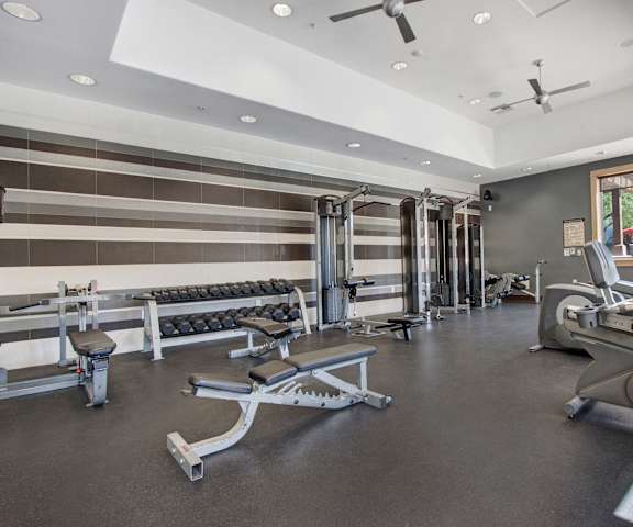 A spacious gym with a variety of equipment including a treadmill, weight bench, windows, two ceiling fans, and a rowing machine at Vesada Apartment Homes. 