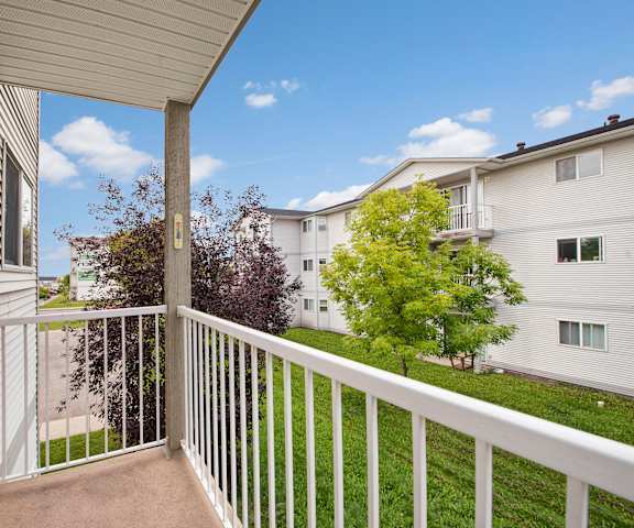 The view of the yard from the balcony at Carrington Place Apartments. 