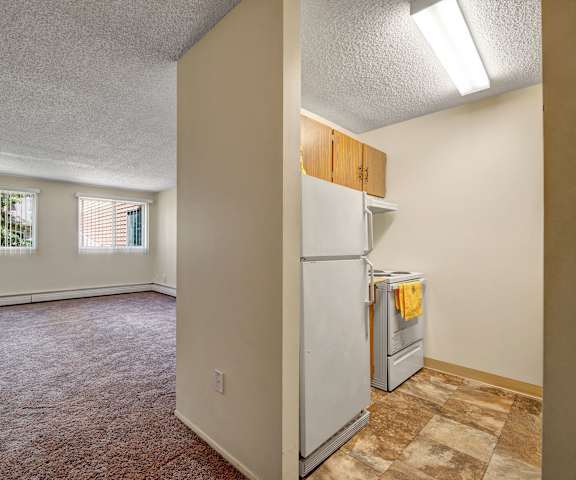 An empty living room with two windows and a kitchen with light wooden cabinets and white appliances at Lakewood Heights. 