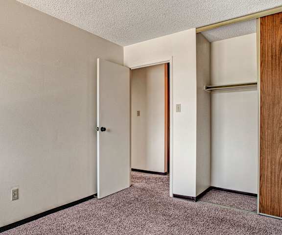 An empty carpeted bedroom with a closet at Madison Park Apartments. 