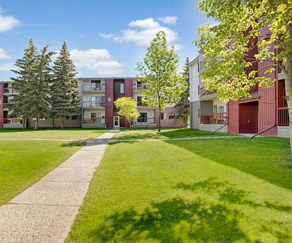 The pathways surrounded by grass and trees leading to the apartment building at Madison Park Apartments. 