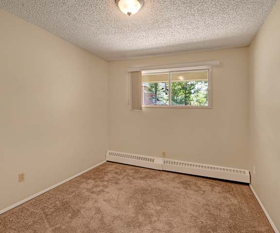 A large, empty carpeted bedroom with overhead lighting and a window at Stirling Place Apartment Homes. 