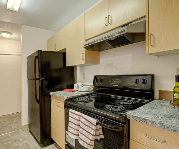 A cozy kitchen with black appliances, light countertops with lots of room, and light wooden cabinets with decorations and utensils at Stirling Place Apartment Homes. 