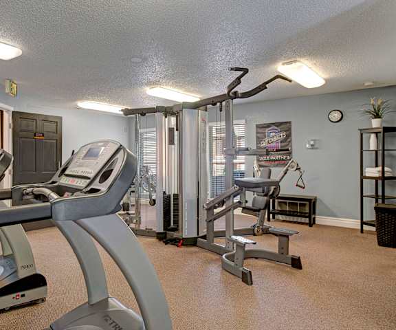 A spacious gym with cardio machines, windows, TVs, and weights at Windtree Apartment Homes. 