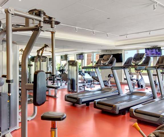 A gym full of cardio equipment and weights at 7West. 