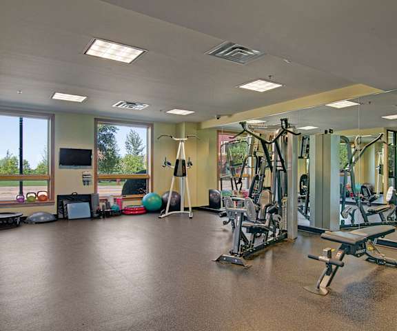 The Mist Fitness Room A spacious gym with cardio machines, windows, TVs, and weights at the Mist at Lake Minnetonka Apartment Homes.