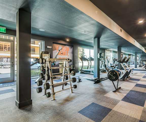 Harmony Luxury Gym A gym with cardio machines, windows, TVs, and weights at Harmony Luxury Apartments.