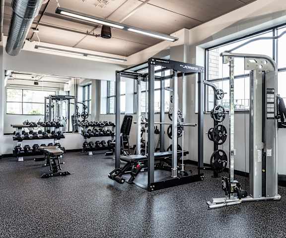  A spacious gym with cardio machines, windows, TVs, and weights at Vim +Vigor Lofts. 