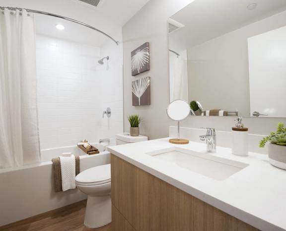 a bathroom with a sink and a toilet and a shower