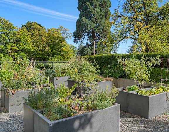 a group of concrete boxes with plants in a garden
