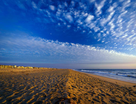 a sandy beach with the ocean at sunset