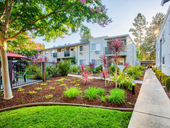 a courtyard with trees and plants in front of a building at Pleasanton Place, Pleasanton, 94566