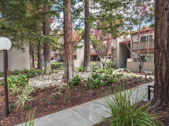a courtyard with trees and a sidewalk in front of a building at Valley Plaza Villages, Pleasanton, 94566