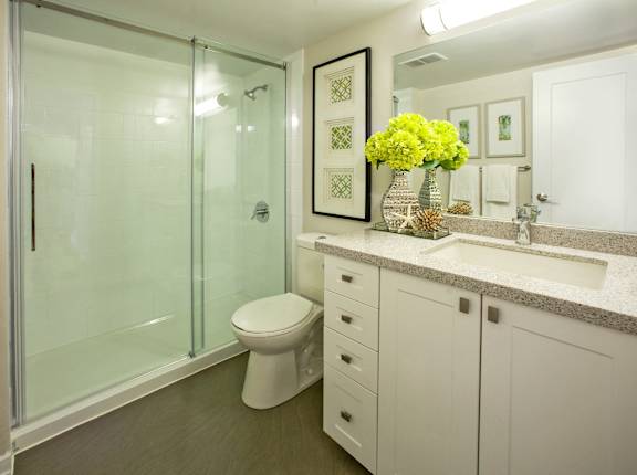 a bathroom with a shower toilet and sink