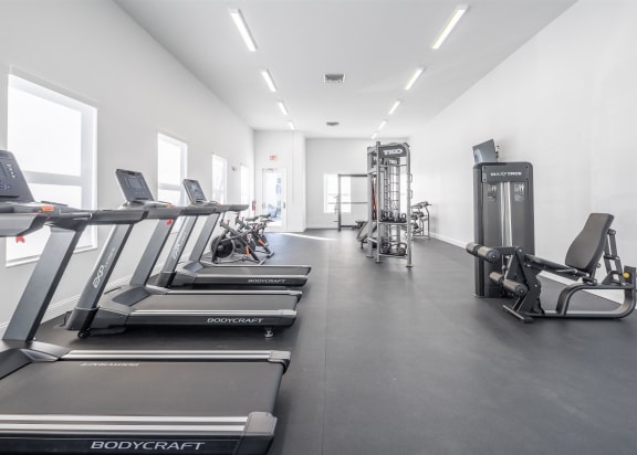 the gym is equipped with cardio equipment and weights