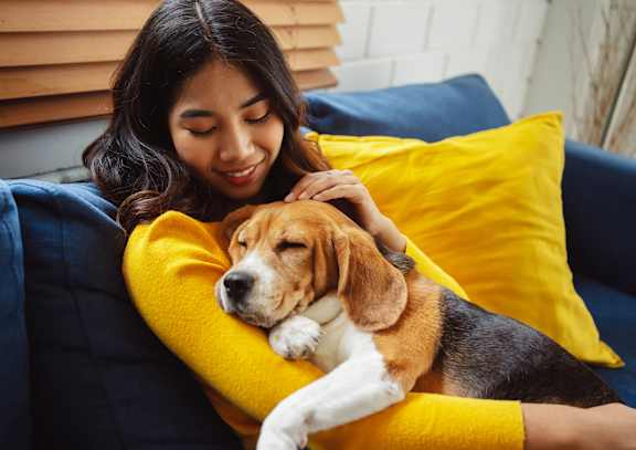 A woman is hugging a sleeping dog on a blue couch.