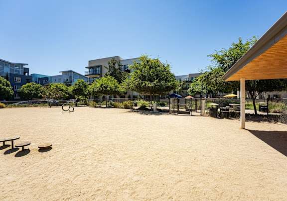 A sandy area with picnic tables and a playground.