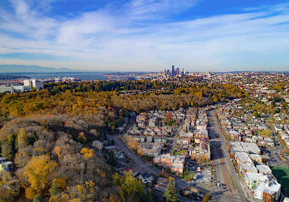 An aerial view of Seattle's cityscape, with fall foliage and a sweeping blue sky
