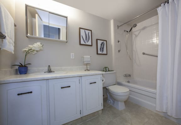 a bathroom with white cabinets and a shower and a toilet