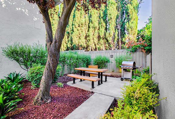 A backyard with a picnic table and a tree.