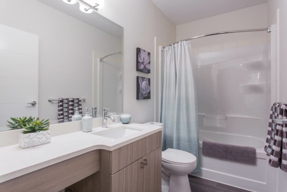 a bathroom with a toilet sink and shower and a mirror