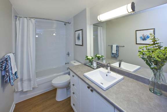 a bathroom with a sink toilet and a shower