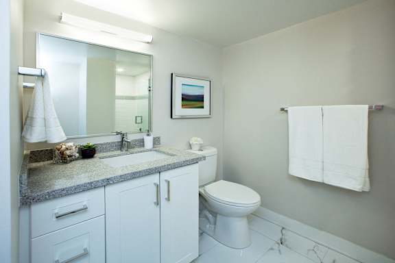 a bathroom with a toilet and a sink and a mirror