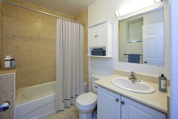 a bathroom with a shower toilet and sink and a mirror