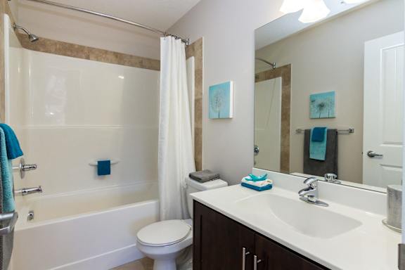 a bathroom with a shower sink and toilet and a mirror