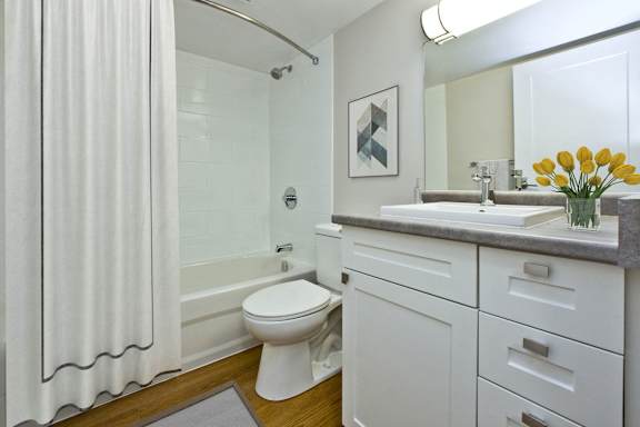 a bathroom with a sink and a toilet and a tub