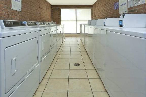 a row of washers and dryers in a laundry room