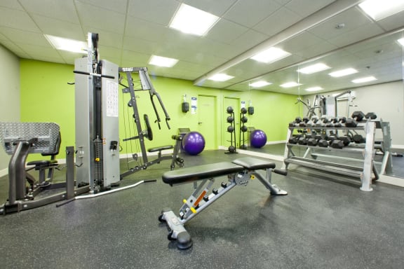 a gym with weights and other equipment in a building with green walls