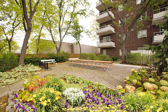 A garden with a bench and flowers in front of a building.