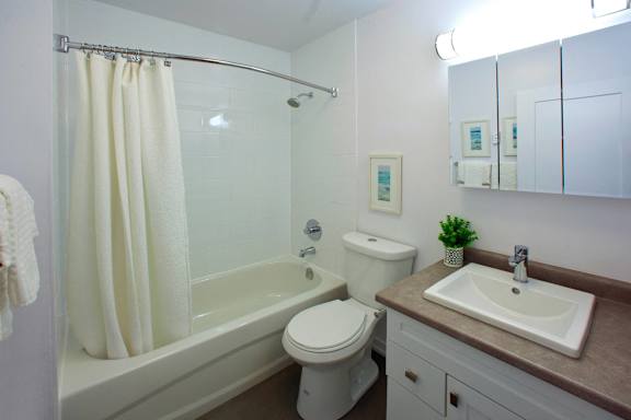 A white toilet sits next to a bathtub in a bathroom.