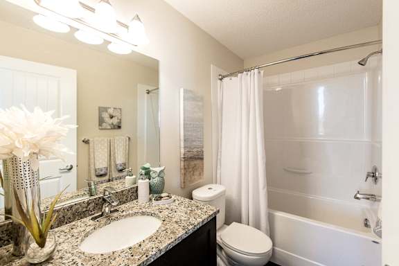 a bathroom with a sink and a toilet and a shower