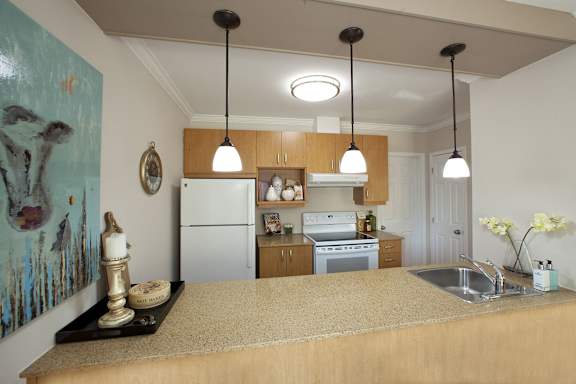 A kitchen with a refrigerator, oven, and sink.