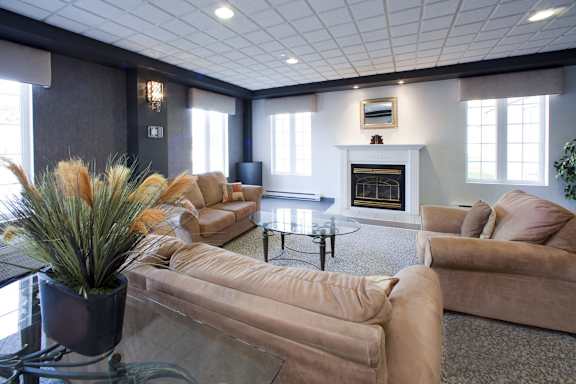 A living room with a fireplace and a potted plant.