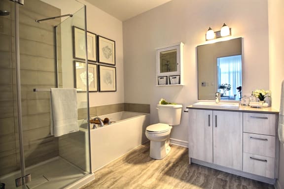 a bathroom with a shower toilet and sink and a mirror
