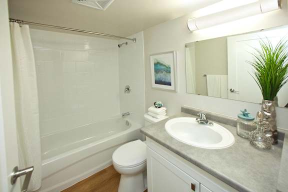 A white bathroom with a toilet, sink, and shower.