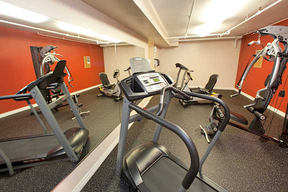 A gym with treadmills and exercise bikes.