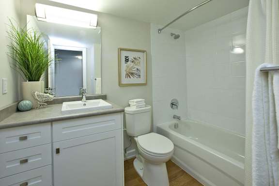 A white toilet sits next to a bathtub in a bathroom.