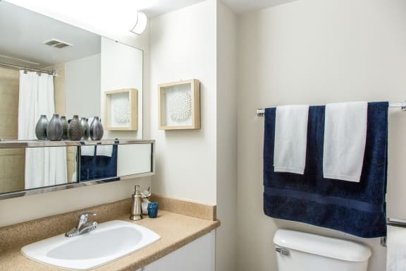 a bathroom with a sink and a toilet and a mirror