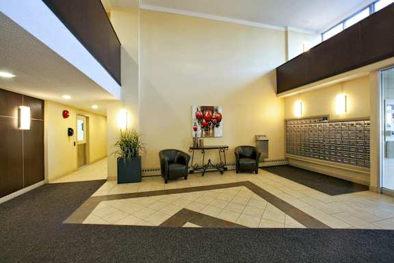 A hallway with a black chair and a plant in a green planter.